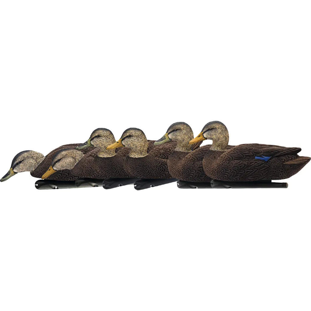 AvianX Top Flight Duck Decoys (Flocked Black Duck 6 pk.)
