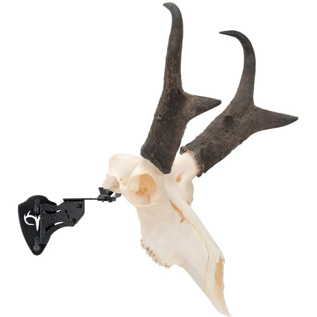 Allen EZ Mount Skull Stand