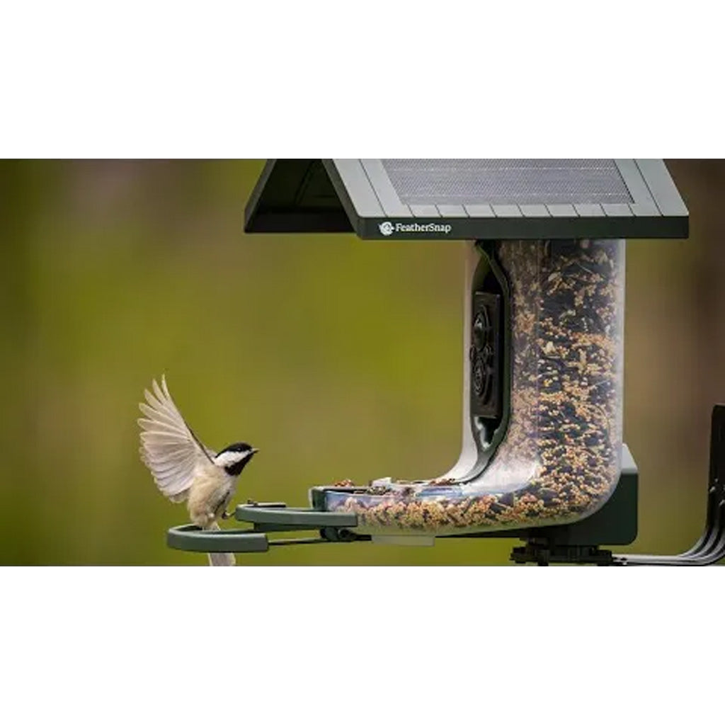 Tactacam FeatherSnap Scout Bird Feeder