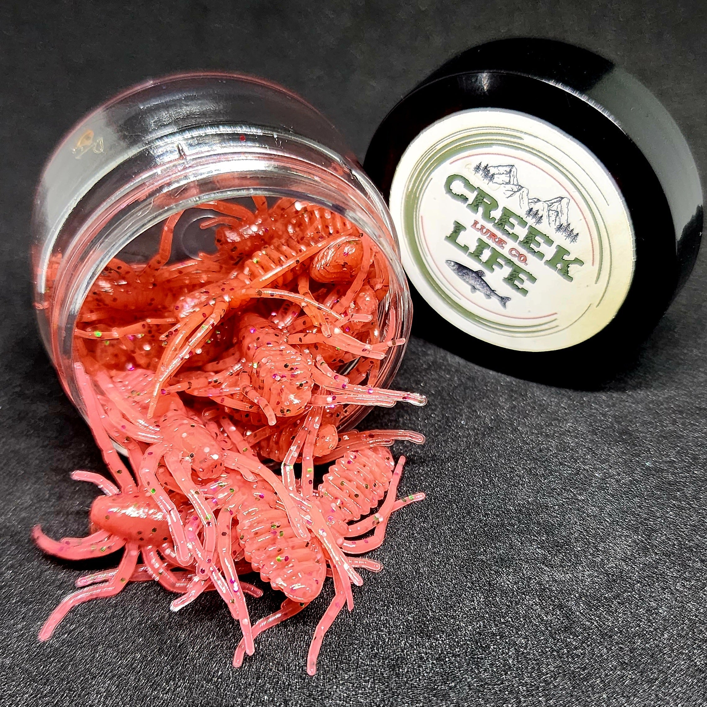 Jar of 1" Micro Spider Bait "The Writing Spider"