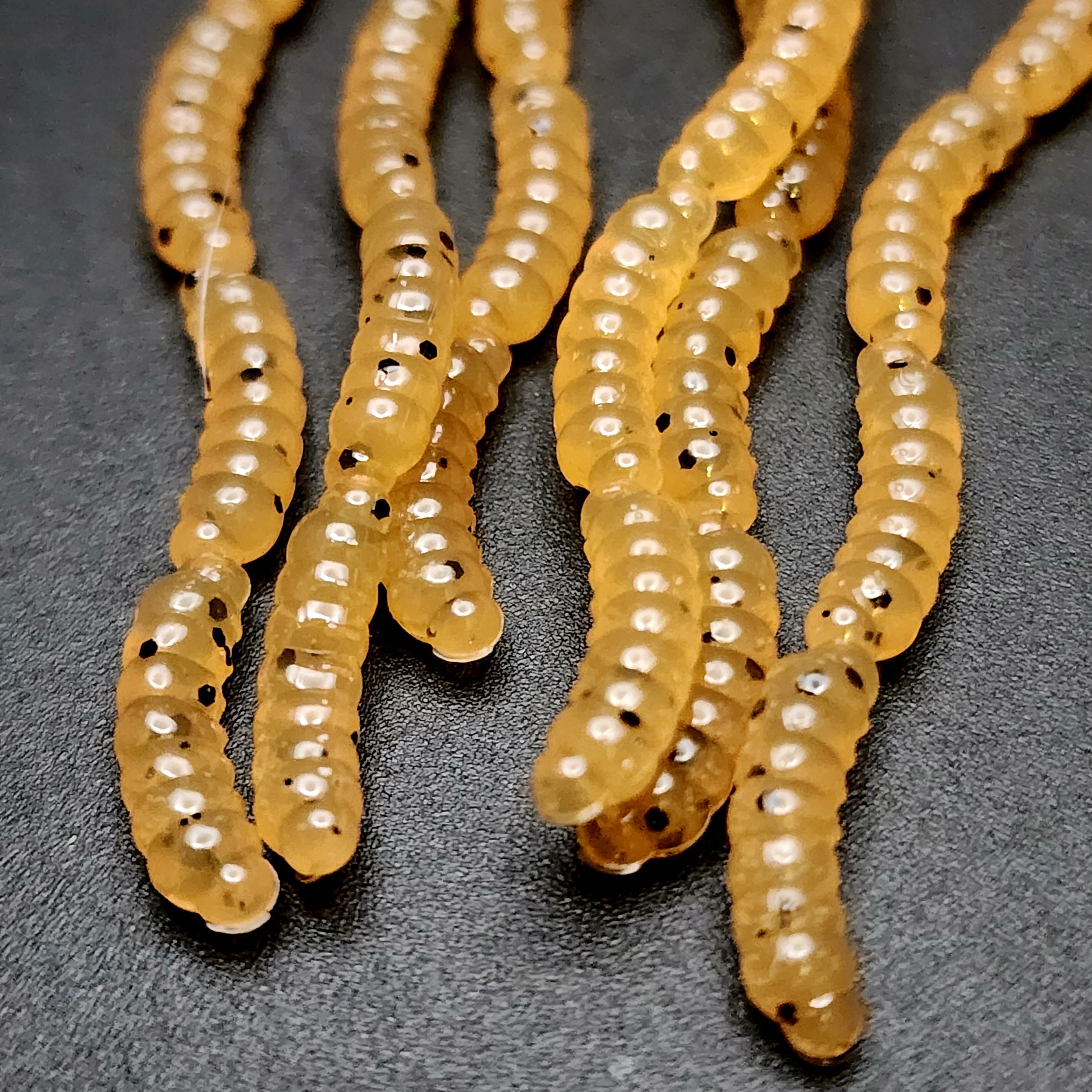 0.5" Inch Maggot Larvae "The Apple Maggot"