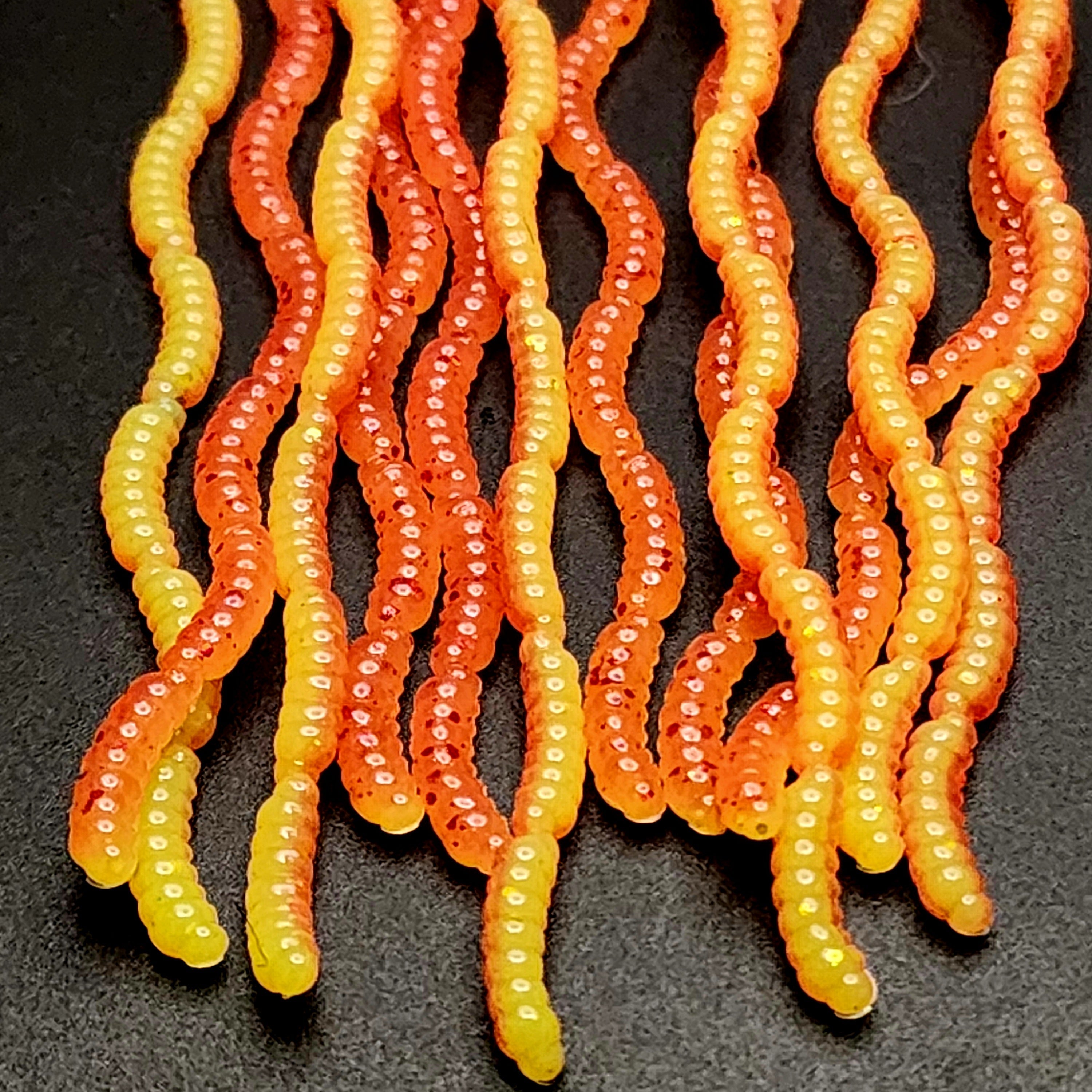 0.5" Inch Maggot Larvae "The Apple Maggot"