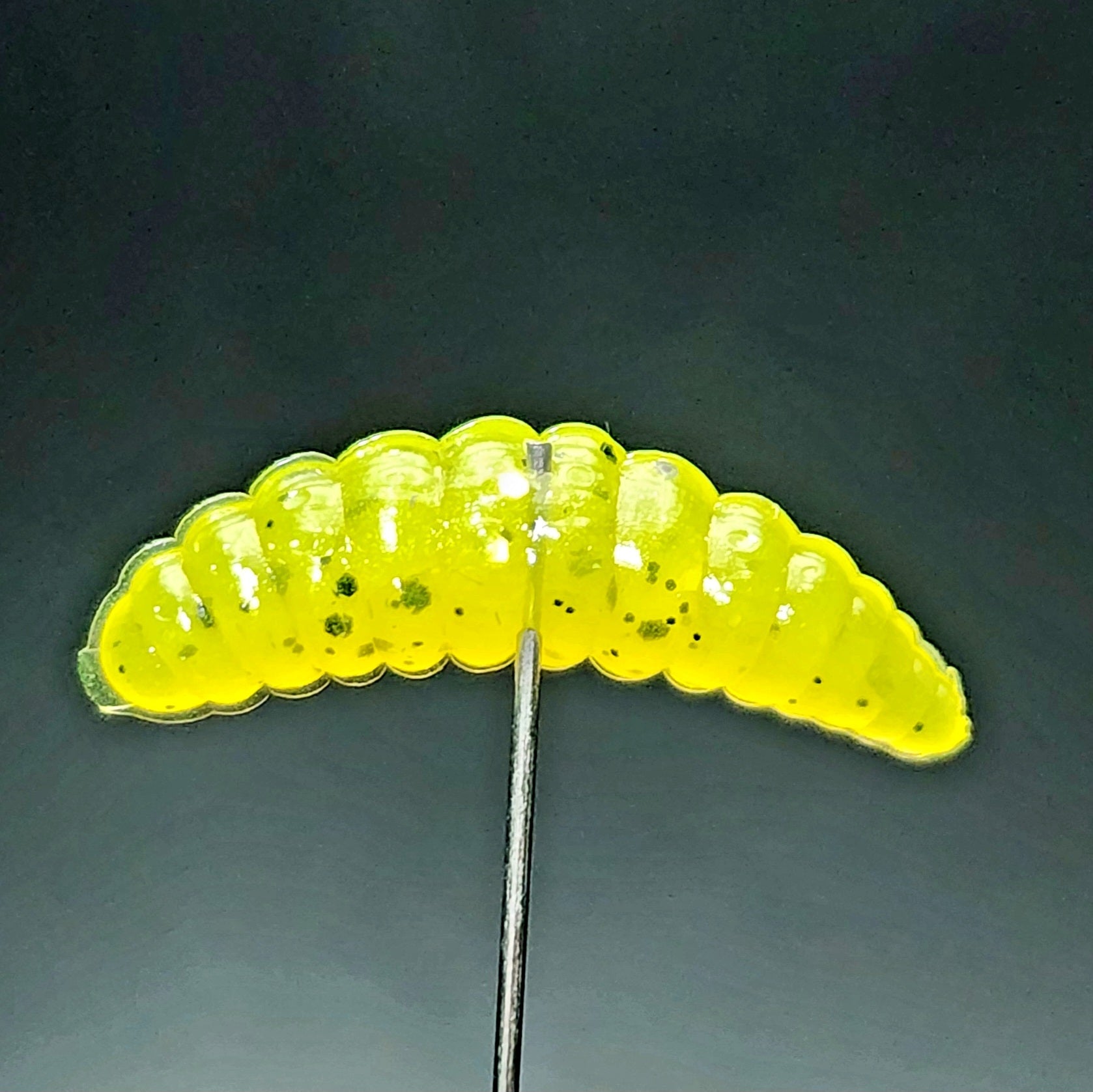 1" Waxworm "The Tater Bug"