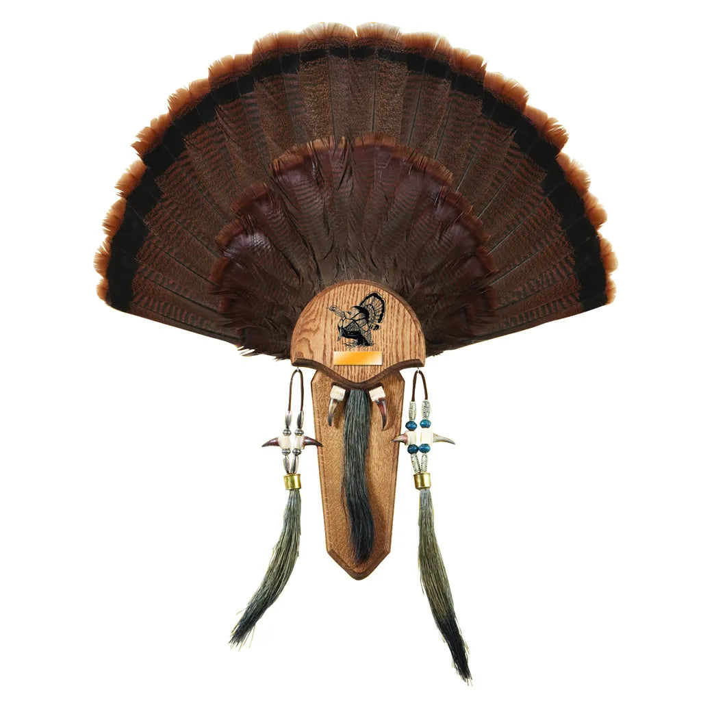 HS Strut Mounting Plaque