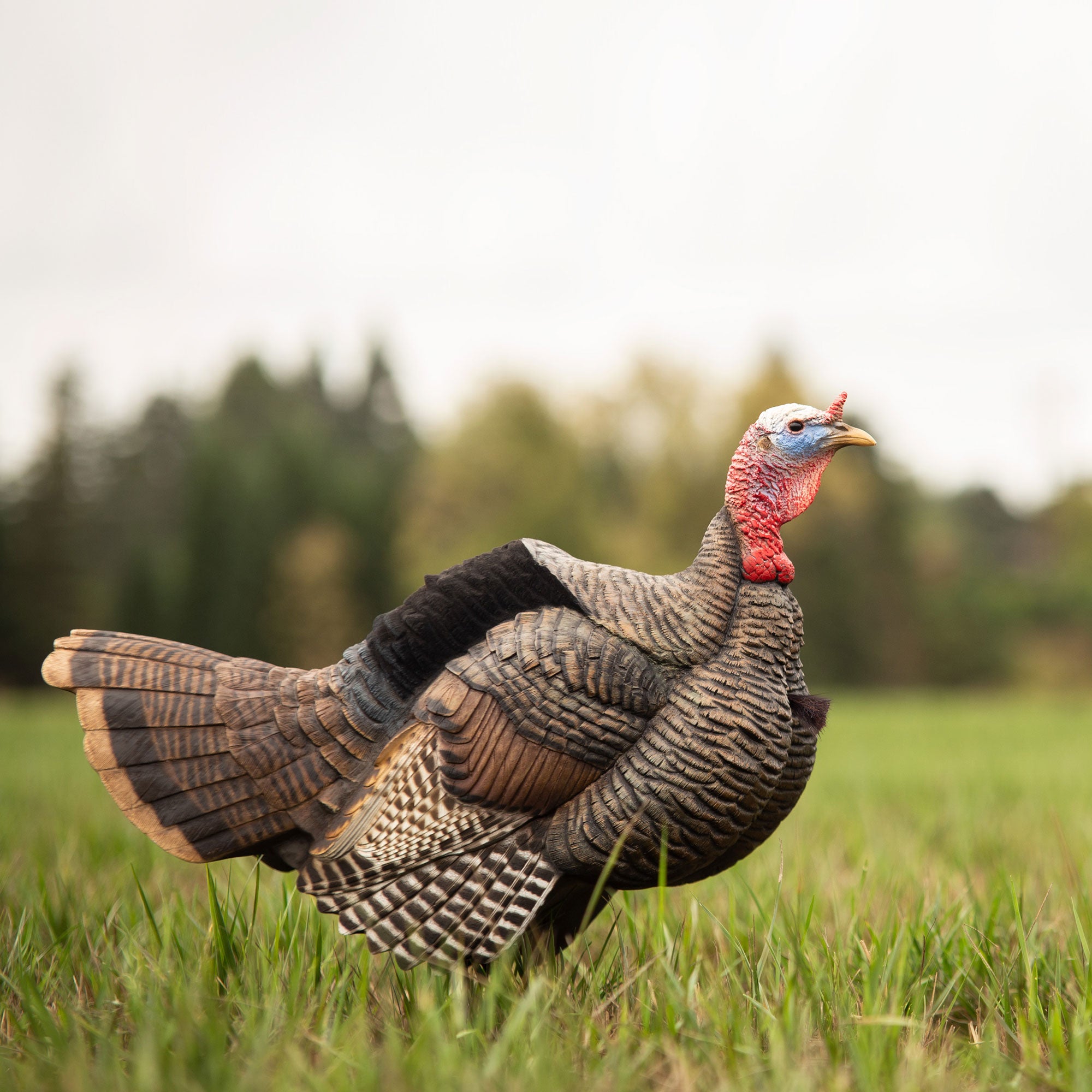 Dave Smith Decoy Posturing Jake