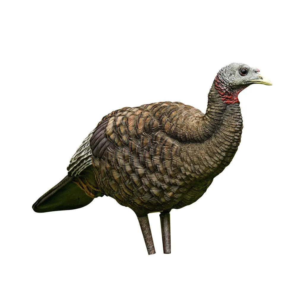 Avian X LCD Breeder Hen Turkey Decoy