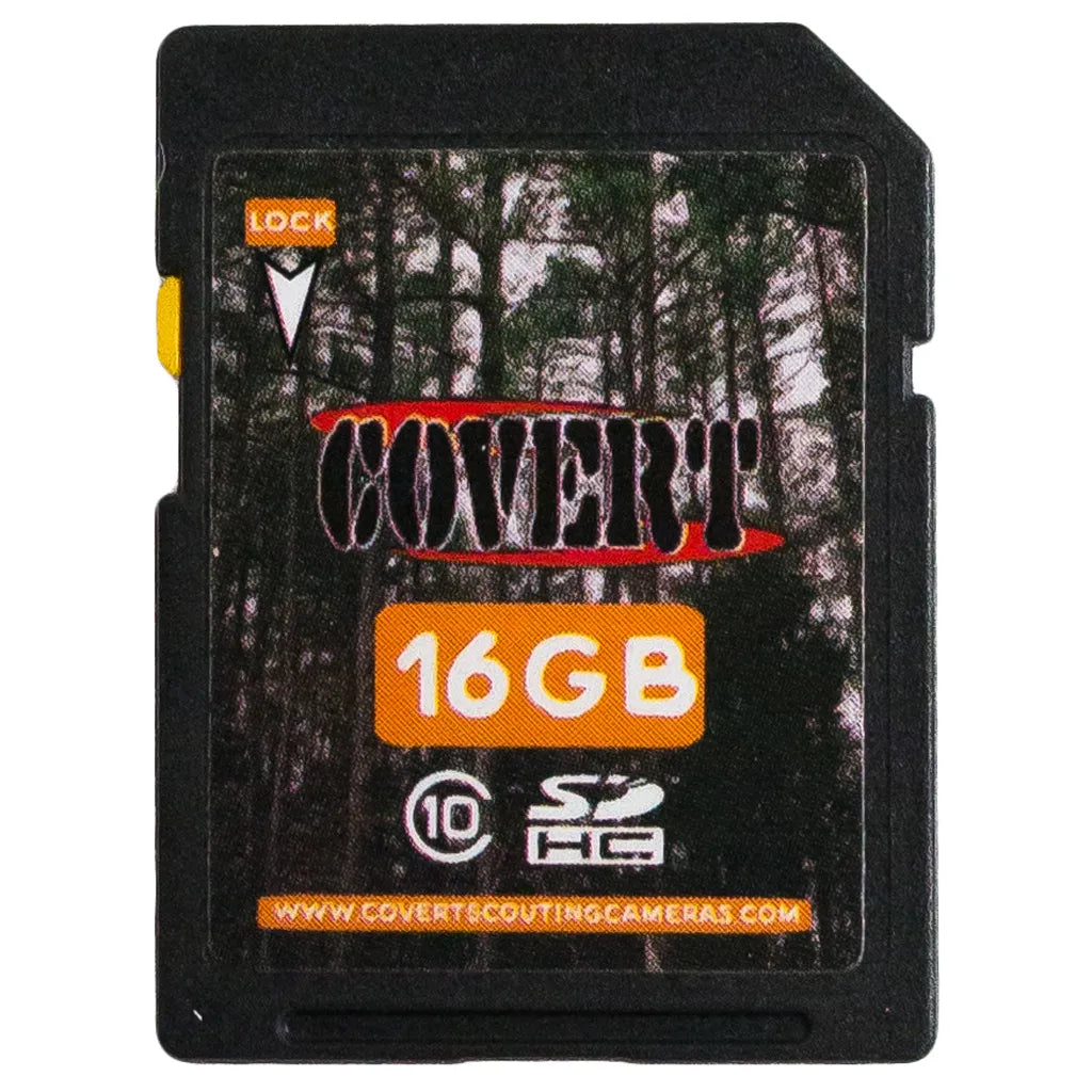 Covert SD Memory Card