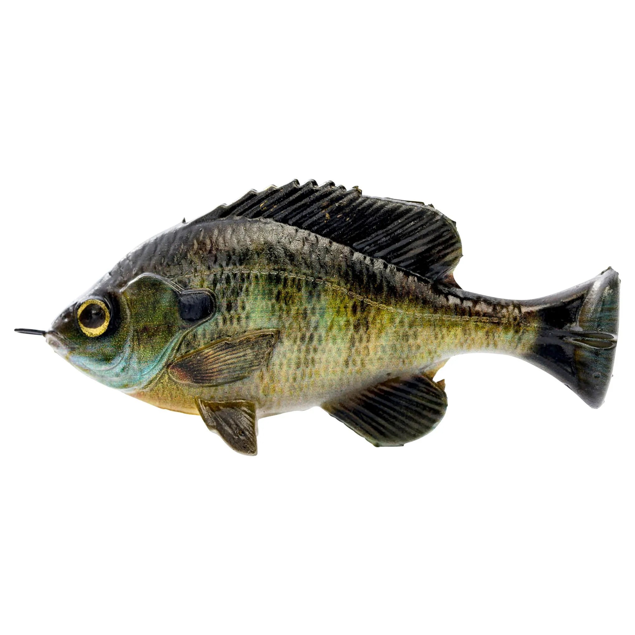 Savage Gear Pulse Tail Bluegill LB