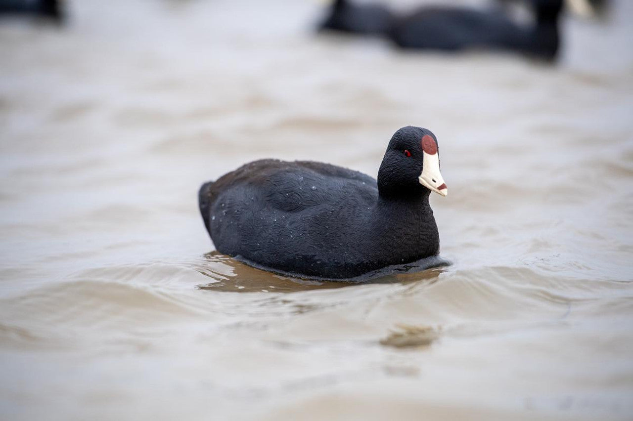Avian X Topflight Coot Floating Decoy