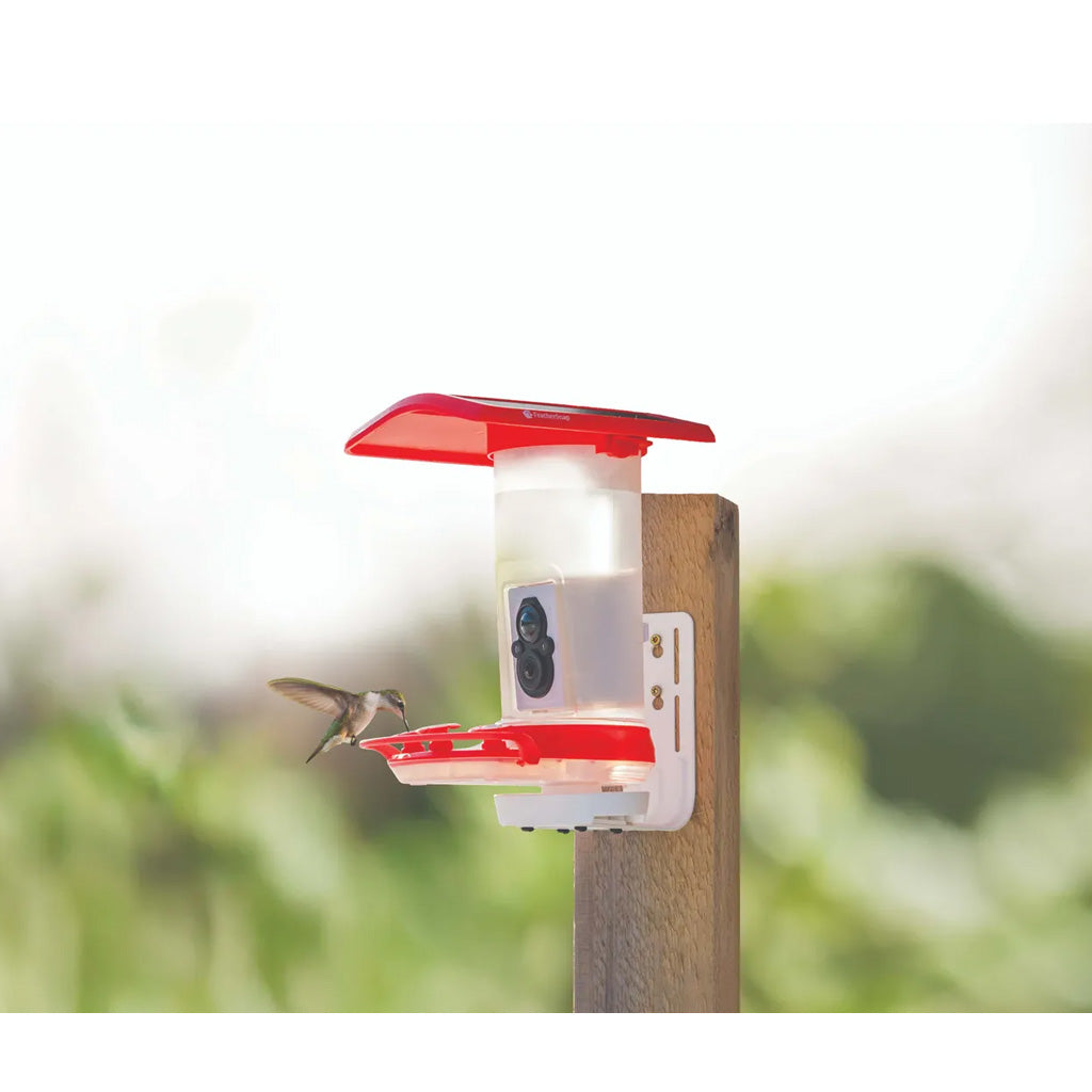 Tactacam FeatherSnap Hummingbird Feeder