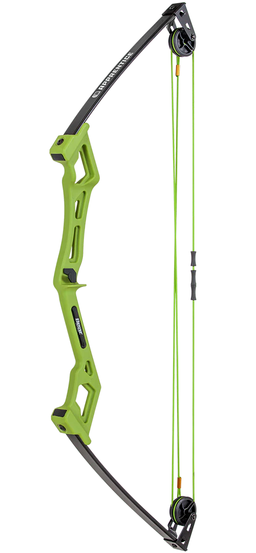 Bear Apprentice Bow Set