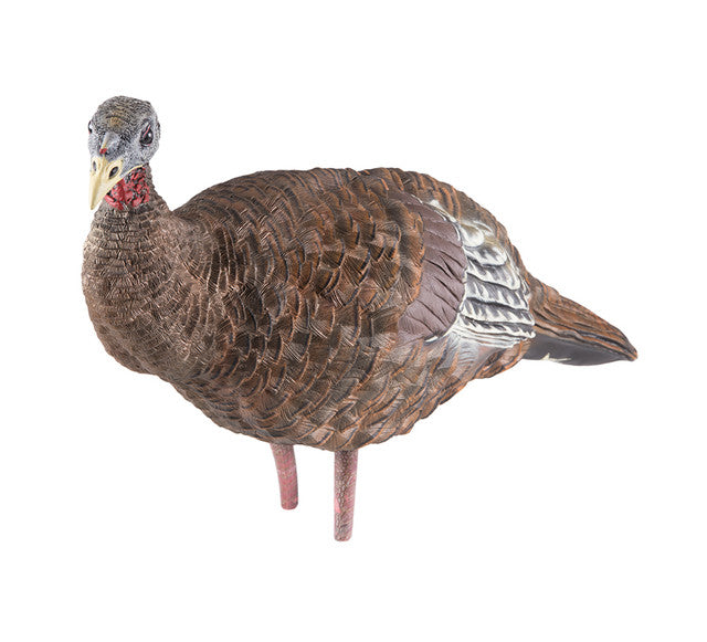 Avian X LCD Breeder Hen Turkey Decoy