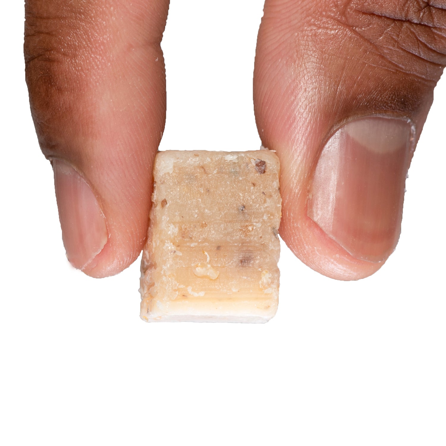 Cricket Catfish Bait